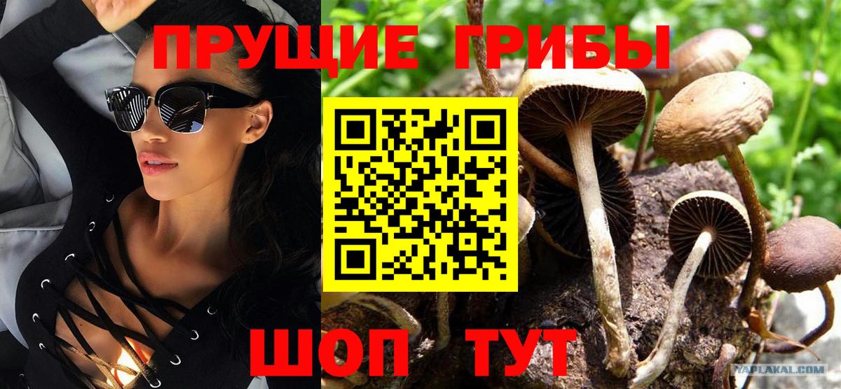 Псилоцибиновые грибы Magic Shrooms Белореченск