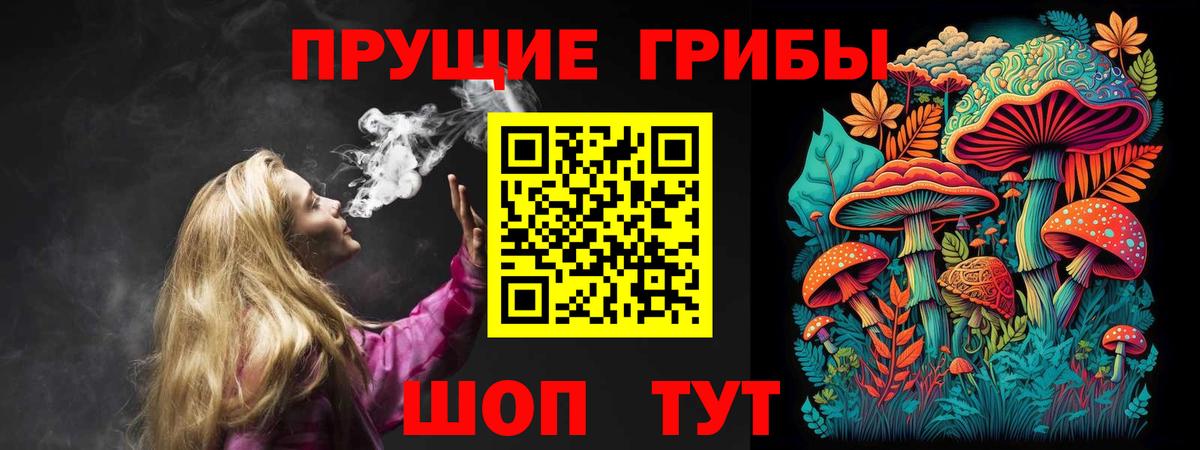 Белореченск  Псилоцибиновые грибы Cubensis  Вход с VPN 