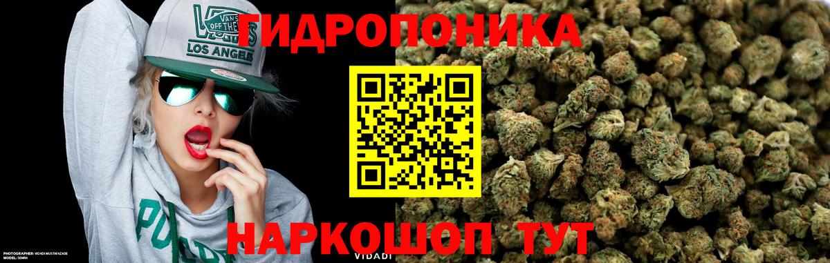 Бошки марихуана White Widow Белореченск
